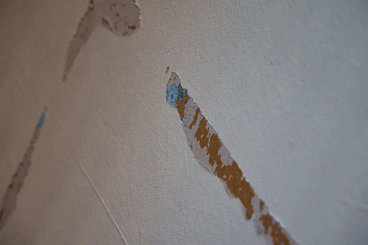 Burst Pipe Repair service in Allentown, PA